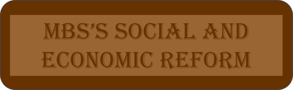 MBS’s Social And Economic Reform