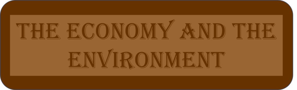 The Economy And The Environment